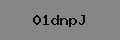 Captcha Verification